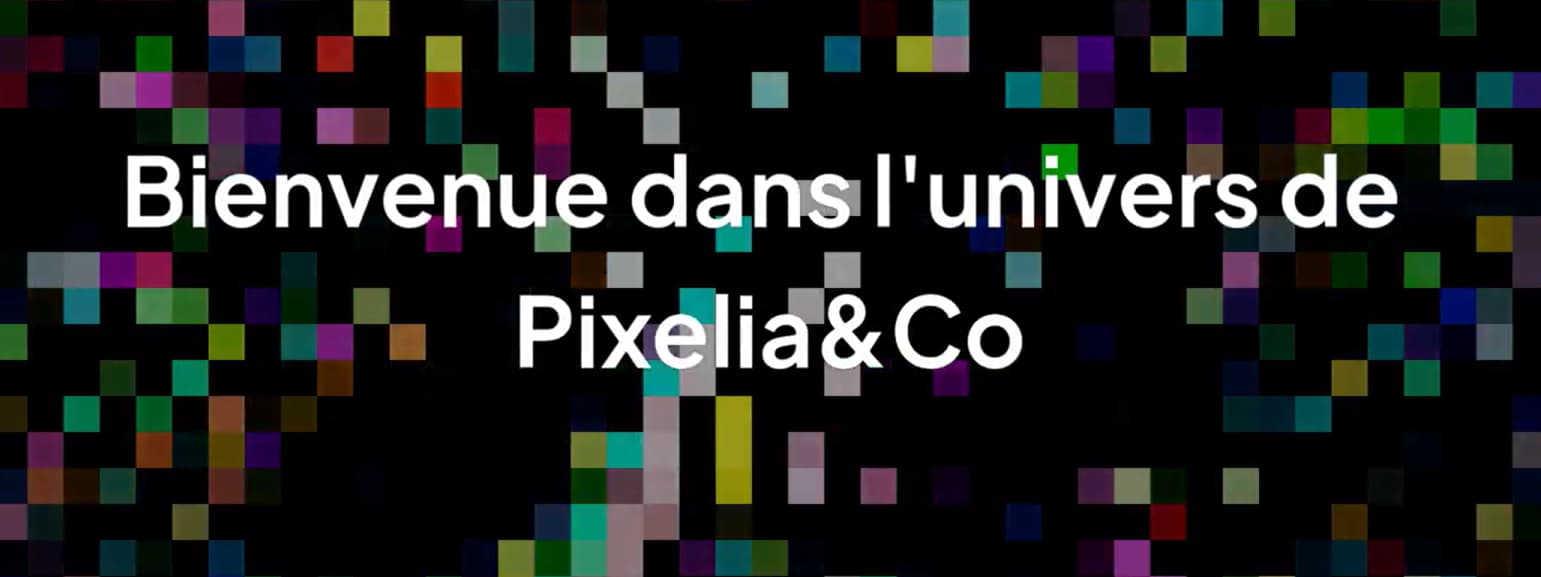 Aperçu de la vidéo: Découvrez Pixelia&Co