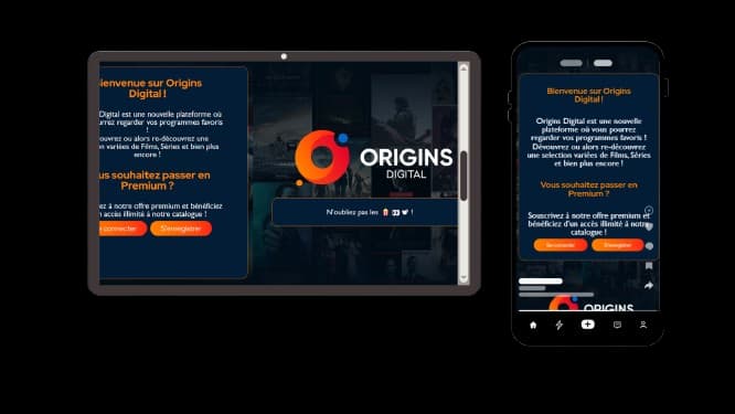 Aperçu du projet Origins Digital